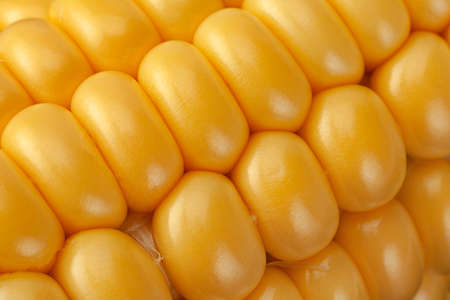 Sweet corn vegatable closeup corn seeds background