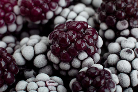 Blackberry fruit frozen berry closeup backgroundの写真素材