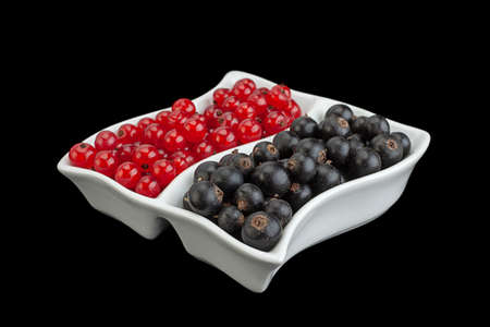 Black and red currant berries closeup isolated on black backgroundの写真素材