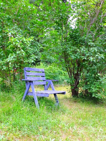 An old rustic blue chair in garden. Overgrown plants.の写真素材