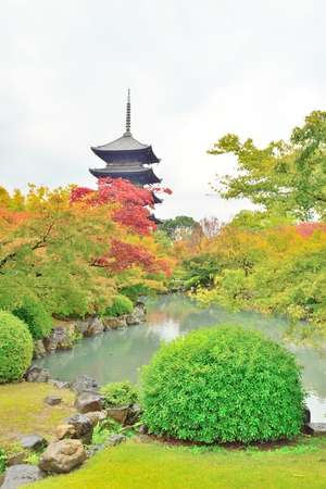 Five storied pagoda and autumn leaves at Toji temple in Kyoto, Japanのeditorial素材
