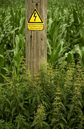 Old wooden power pole with warning danger in greenfieldの写真素材