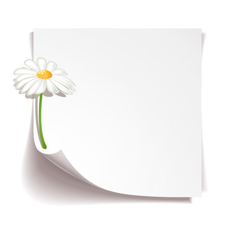 White stick note paper with camomile flower on white backgroundのイラスト素材
