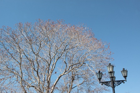 Type of the blue sky, crown and lamp  Spring, day, horizontally 