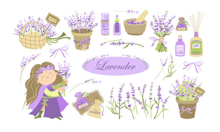 Lavender set flat design. Vector illustration of provence flowers isolated on white backgroundのイラスト素材