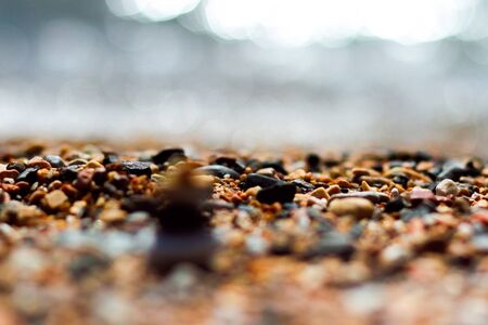 Pebbles on the beach in summerの写真素材