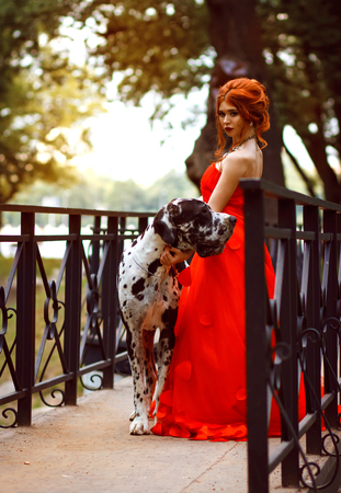 young beautiful girl in a red dress with a big dogの写真素材