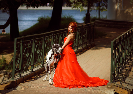 young beautiful girl in a red dress with a big dogの写真素材