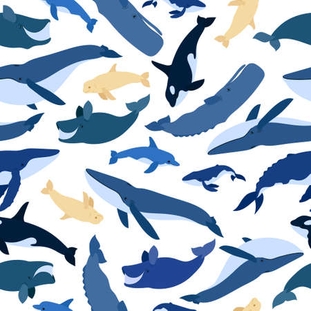 Seamless pattern of whales. Beluga, killer whale, humpback whale, cachalot, blue whale, dolphin, bowhead, southern right whale, sperm hale. Underwater world, Marine. Vector illustration of a whalesのイラスト素材