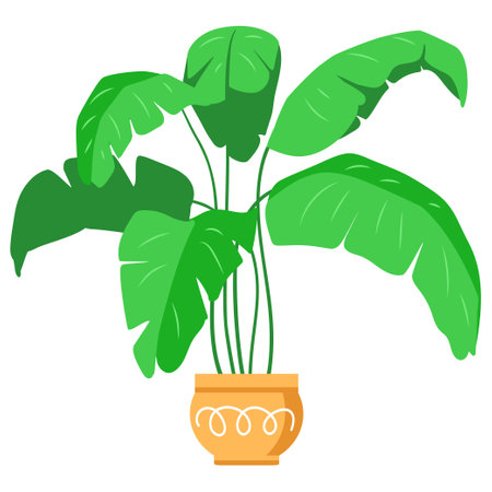 Potted plants collection. Houseplants. Hand drawn vector illustration. Set of vector house indoor plant isolated on whiteのイラスト素材