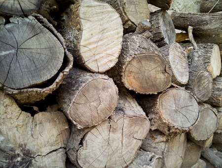 wall of old logs. wooden background. firewoodの写真素材