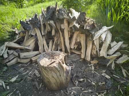 a lot of chopped wood on a green glade. woodcutterの写真素材