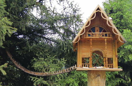 house for squirrels on the tree. bridge for squirrels.の写真素材
