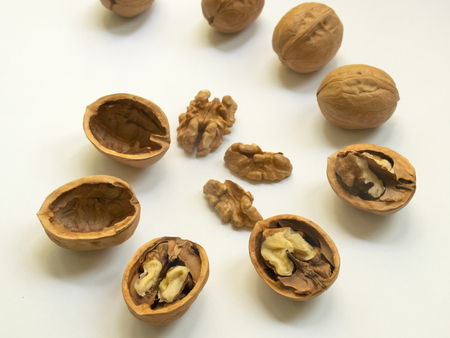walnut lies on the table. near the shell and the core.の写真素材