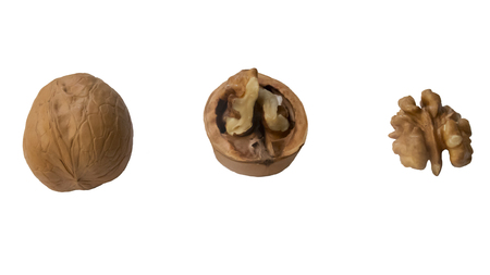 walnut lies on the table. near the shell and the core.