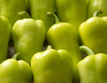 green ripe pepper lies on the table. pepper harvest. Ingredients for Salad.の写真素材