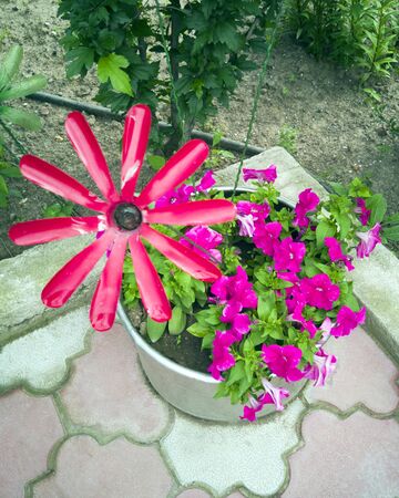 Flower from a plastic bottle. Decoration for the garden do it yourself. Reuse plastic. The decor of the waste. Vase for flowers from the tire.の写真素材