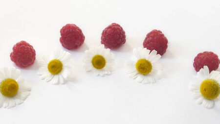 raspberry berries and chamomile flower. cold treatment. ethnoscience.の写真素材