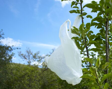 The problem with pollution. Package hangs on a tree. Rubbish on the lawn.の写真素材