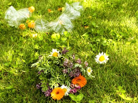 The problem with pollution. Beautiful bouquet of wild flowers on a background of garbage. Rubbish on the lawn.の写真素材