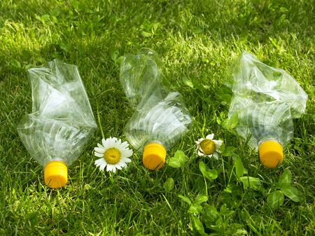Plastic bottles lie on the green grass. Pollution of nature. Rubbish on the lawn.の写真素材