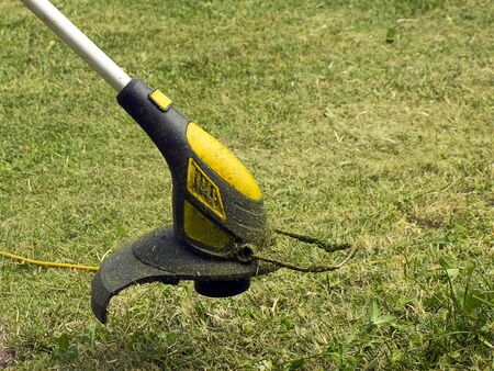 Trimmer for cutting the lawn. Grass shearing equipment. Garden technology.の写真素材