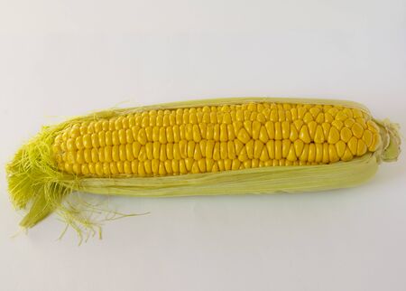 Sweet golden corn. Image of a yellow grain of sweet corn on the cob. Dense rows of corn seeds.の写真素材