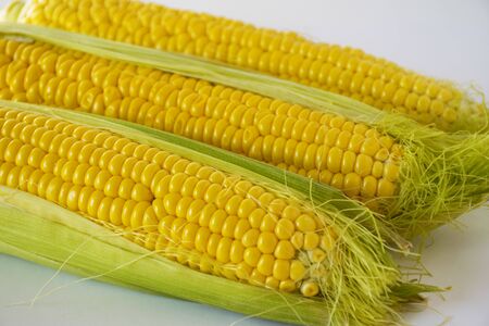 Sweet golden corn. Image of a yellow grain of sweet corn on the cob. Dense rows of corn seeds.の写真素材