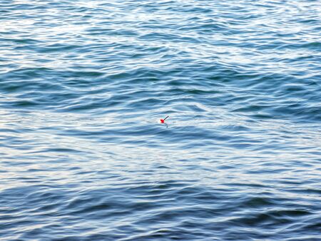 Fisherman fishes early in the morning on the shore. Fishing rod and spinning. Campingの写真素材