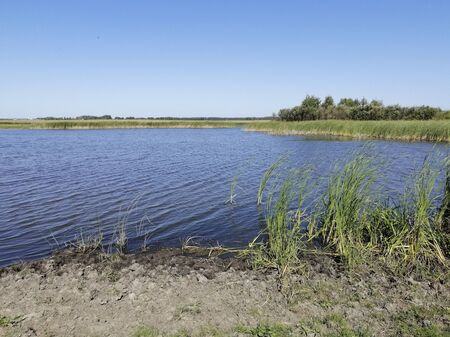 Beautiful wildlife with lakes and water lilies. Landscape with water. The reeds.の写真素材