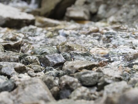 Beautiful texture of stone under water. Natural background of wet stone. Nature.