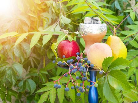 Hookah and fruits on the nature. Hookah under the green leaf. Smoke from a hookah. Fruit flavor. Coals for a hookah. Rest and relaxation.の写真素材