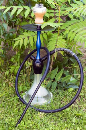 Hookah and fruits on the nature. Hookah under the green leaf. Smoke from a hookah. Fruit flavor. Coals for a hookah. Rest and relaxation.の写真素材
