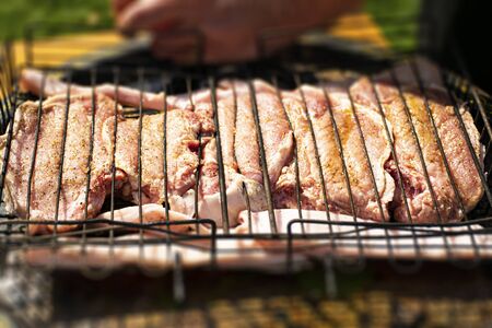 Cooking pork meat for barbecue. Pork with olive oil and spices. Raw pork steaks. Marinating meat. Rest at nature.の写真素材