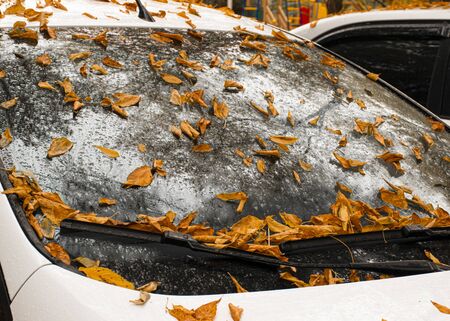 Autumn yellow and orange leaves lie on a car. Windshield in raindrops. Autumn cloudy weather. Reflection in the glass.の写真素材