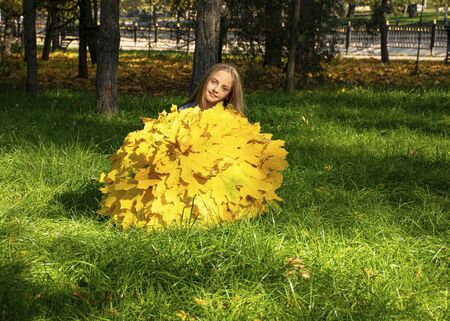 Beautiful young girl walks in the park with an umbrella from autumn yellow leaves. Autumn time, September, October, November. Craft from the leaves. Fall foliage in the city.の写真素材