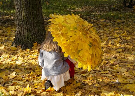 Beautiful young girl walks in the park with an umbrella from autumn yellow leaves. Autumn time, September, October, November. Craft from the leaves. Fall foliage in the city.の写真素材