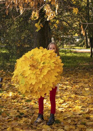 Beautiful young girl walks in the park with an umbrella from autumn yellow leaves. Autumn time, September, October, November. Craft from the leaves. Fall foliage in the cityの写真素材