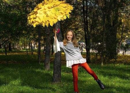 Beautiful young girl walks in the park with an umbrella from autumn yellow leaves. Autumn time, September, October, November. Craft from the leaves. Fall foliage in the cityの写真素材