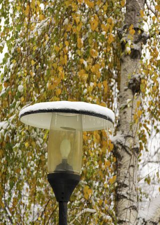 A street lamp with icicles stands on the street in cold weather. A lantern covered with snow on a background of yellow leaves in the fall. First snow.の写真素材