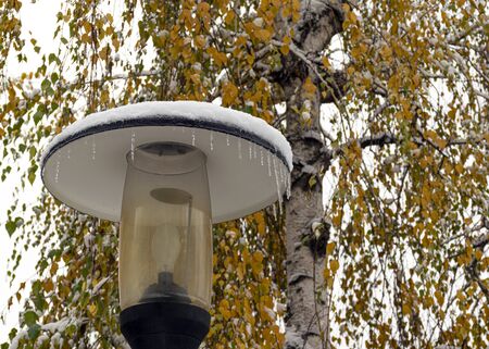 A street lamp with icicles stands on the street in cold weather. A lantern covered with snow on a background of yellow leaves in the fall. First snow.の写真素材
