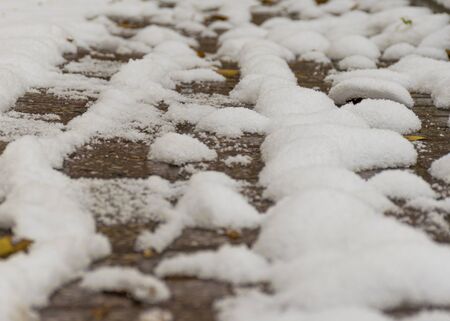 The first snow and yellow leaves lie on the sidewalk in the fall. Cloudy weather after snow. Fall foliage in the fall.の写真素材