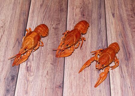 Red boiled cancer on an orange background. Beer snack. Fresh seafood. Two cancers.