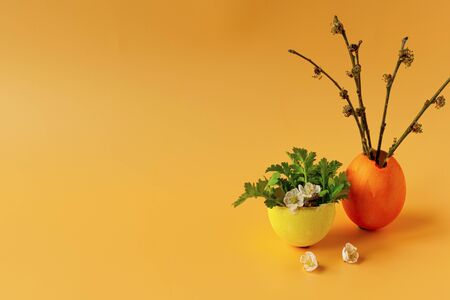 Colored eggs with spring green grass and flowering tree branch on an orange background. Easter holiday, family traditions. Easter eggs
の写真素材
