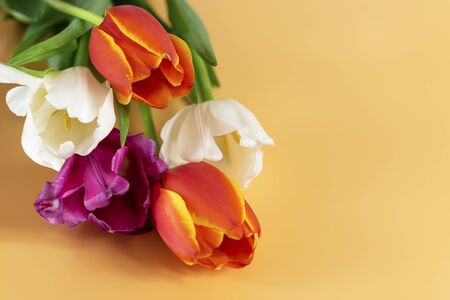 Bouquet of tulips on an orange background. Concept mother's day, easter, spring, love, postcard
の写真素材