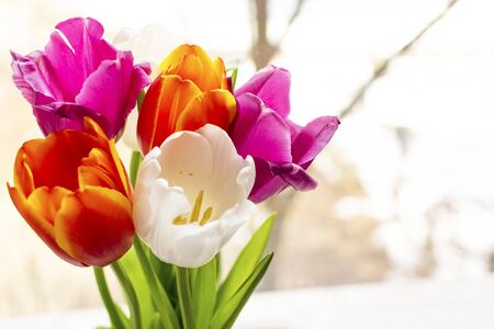Bouquet of tulips in a vase on the window. Concept mother's day, easter, spring, love, postcard
の写真素材