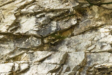 Stone background and green moss. The texture and surface of the stone