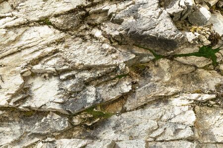 Stone background and green moss. The texture and surface of the stoneの写真素材