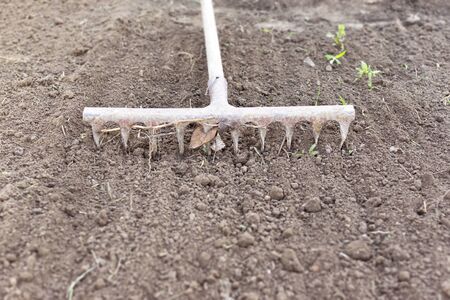 A home vegetable garden being prepared for planting. Rake in the garden.の写真素材