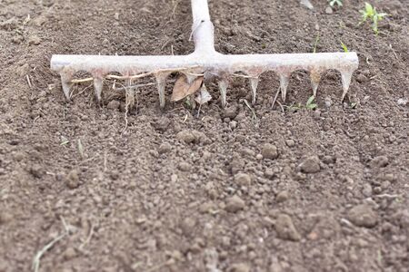 A home vegetable garden being prepared for planting. Rake in the garden.の写真素材